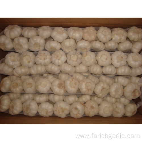 Best Quality Pure White Garlic Braids